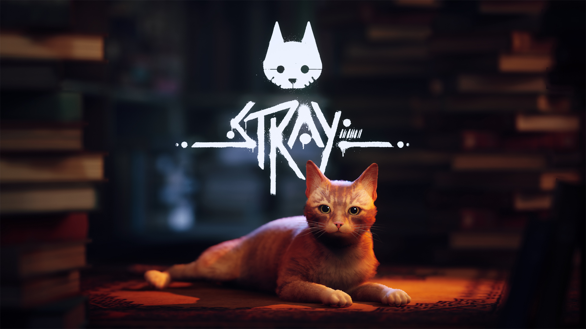 STRAY lancia il 19 luglio