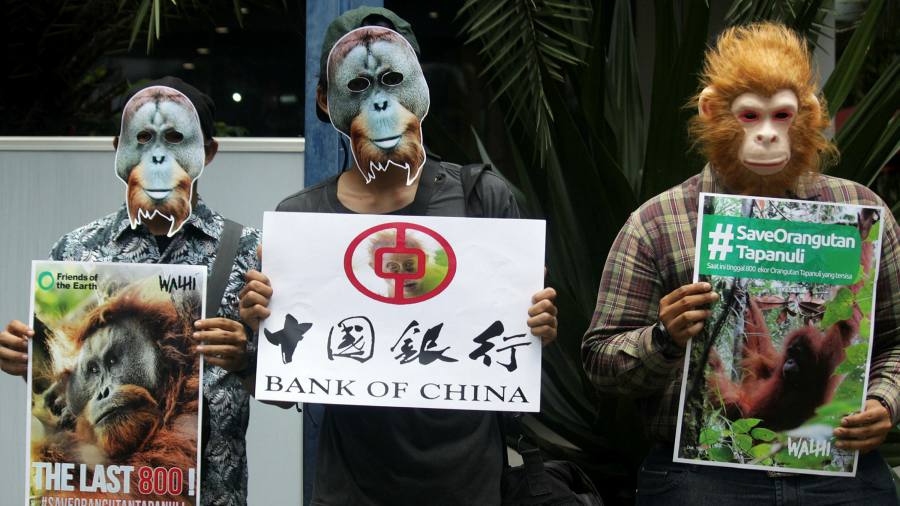 Società statale cinese accusata di mettere in pericolo rari oranghi