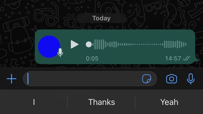 Elogio delle note vocali, la forma di comunicazione più disprezzata oggi