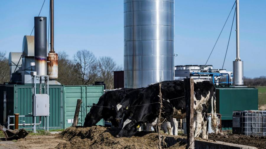 Il più grande produttore europeo di biogas avverte che gli obiettivi dell'UE sono irraggiungibili