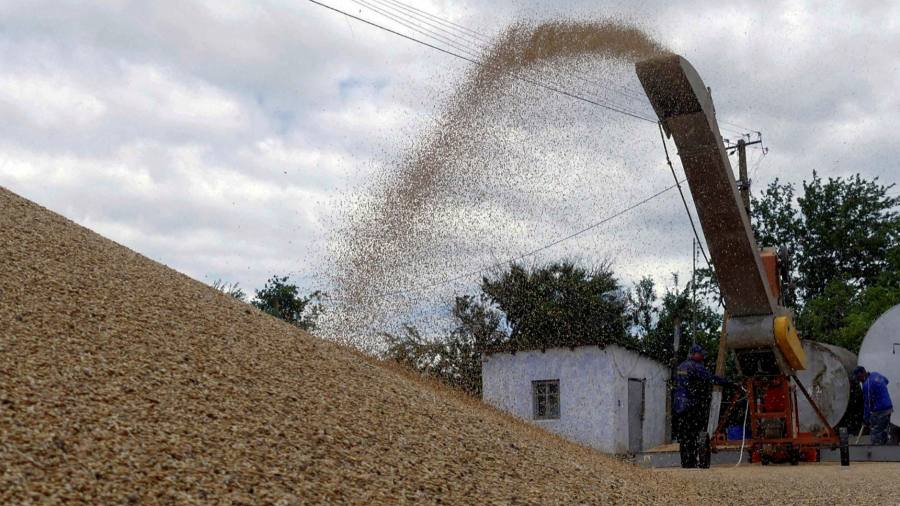 Affare sul tavolo per rilasciare milioni di tonnellate di grano dai porti ucraini