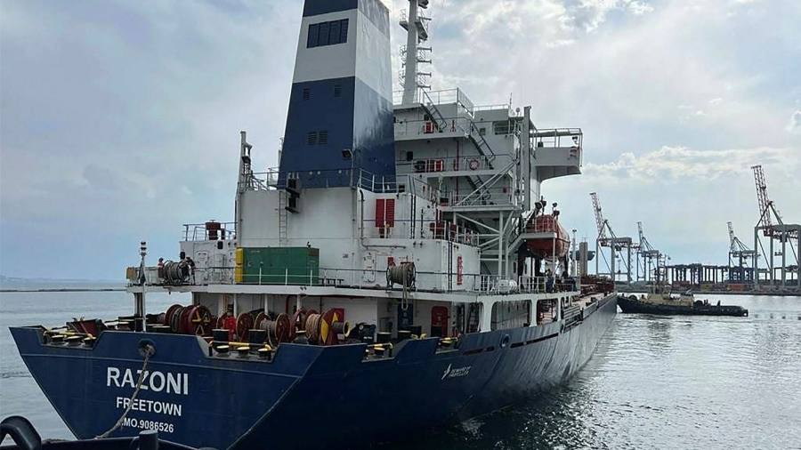 L'Ucraina avverte che le esportazioni di grano impiegheranno "mesi" per raggiungere i livelli prebellici