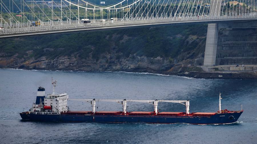 L'Ucraina chiede che l'accordo sui cereali del Mar Nero si estenda ad altri prodotti