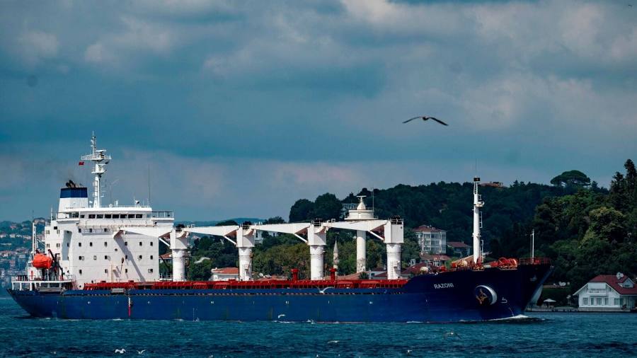 Carico di mais incagliato dall'Ucraina in attesa di un nuovo acquirente, afferma l'ONU