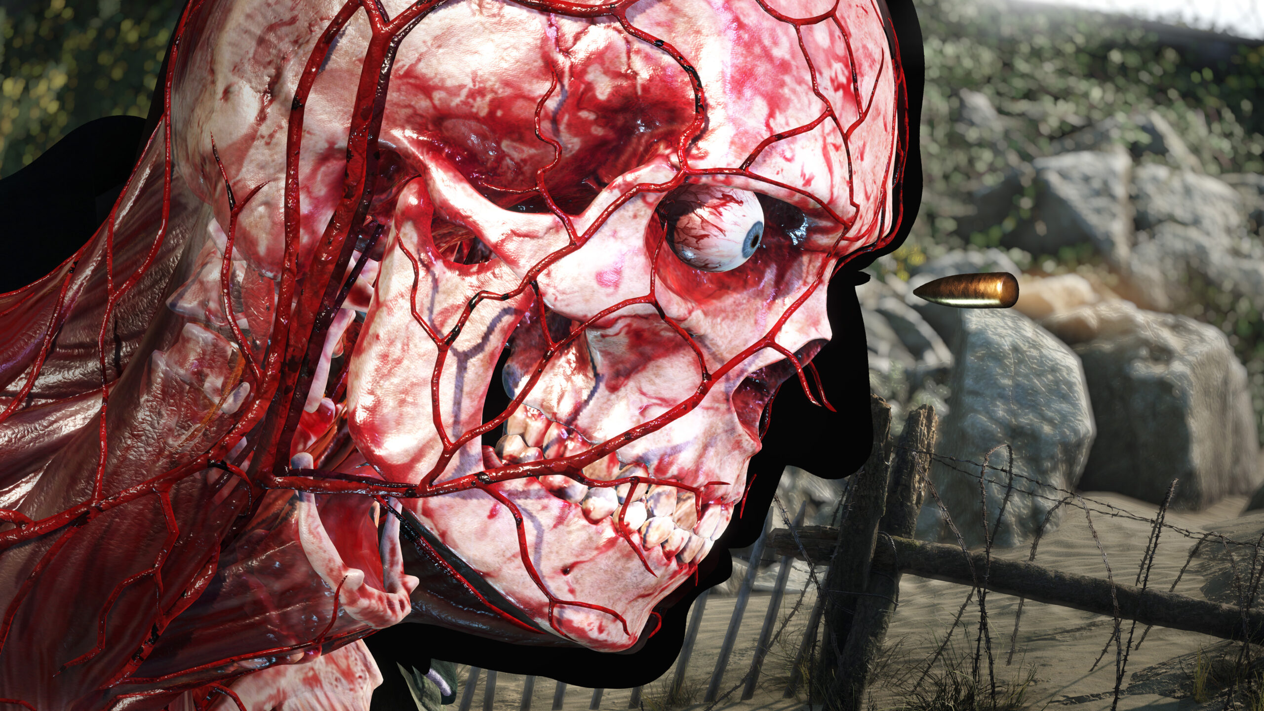 Sniper Elite 5: trailer "Kill Cam Enhanced", screenshot
