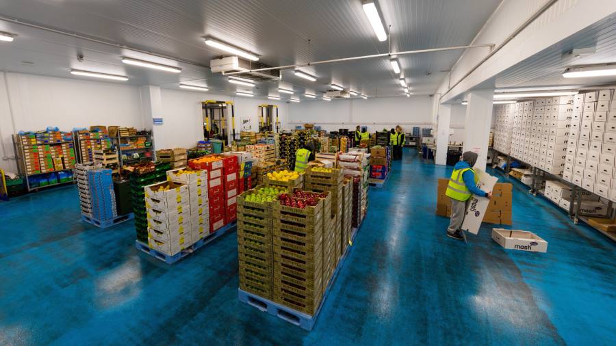 Offerte del regista: la sedia Segro si affida alle grandi scatole