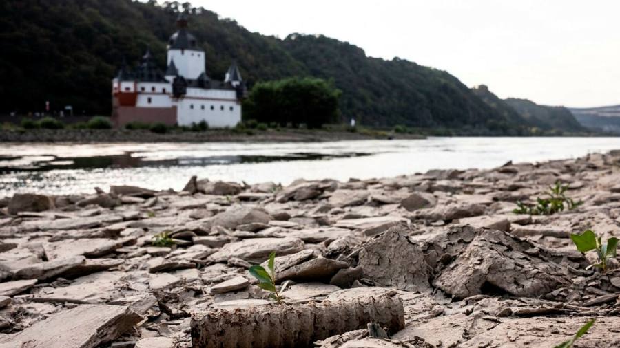 Il basso livello dell'acqua del Reno danneggia l'industria tedesca