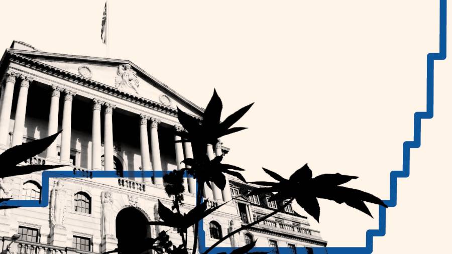 La Banca d'Inghilterra si prepara al tiro alla fune con il Tesoro
