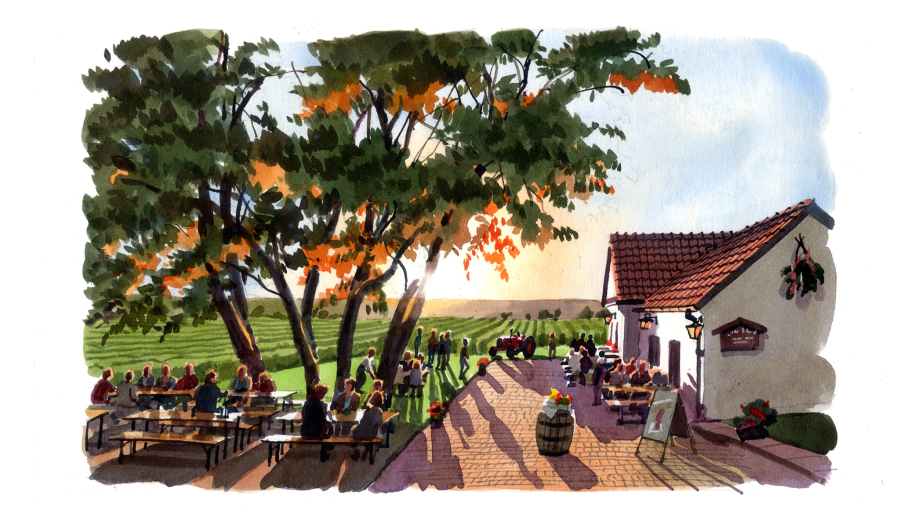 Cartolina dall'Austria: il primo vino d'estate