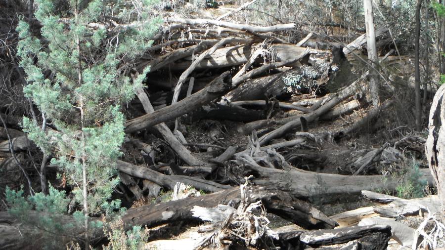 Rompere l'impasse del debito sovrano