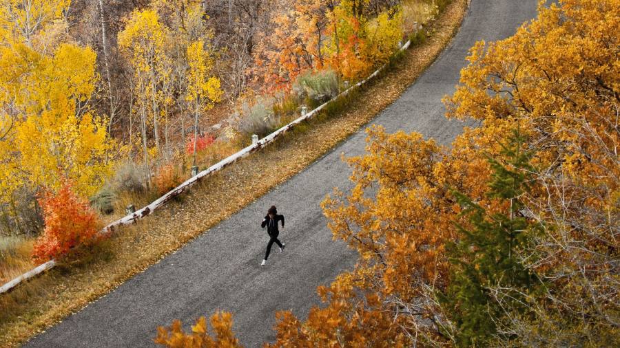 Il miglior kit per i corridori invernali