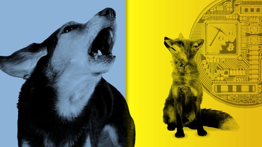 Il selvaggio mondo delle criptovalute ha bisogno di migliori avvertimenti sulla salute