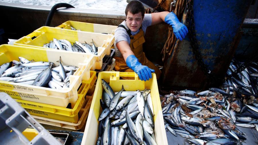 Gli attivisti per la sostenibilità criticano l'accordo sulla pesca tra Regno Unito e UE