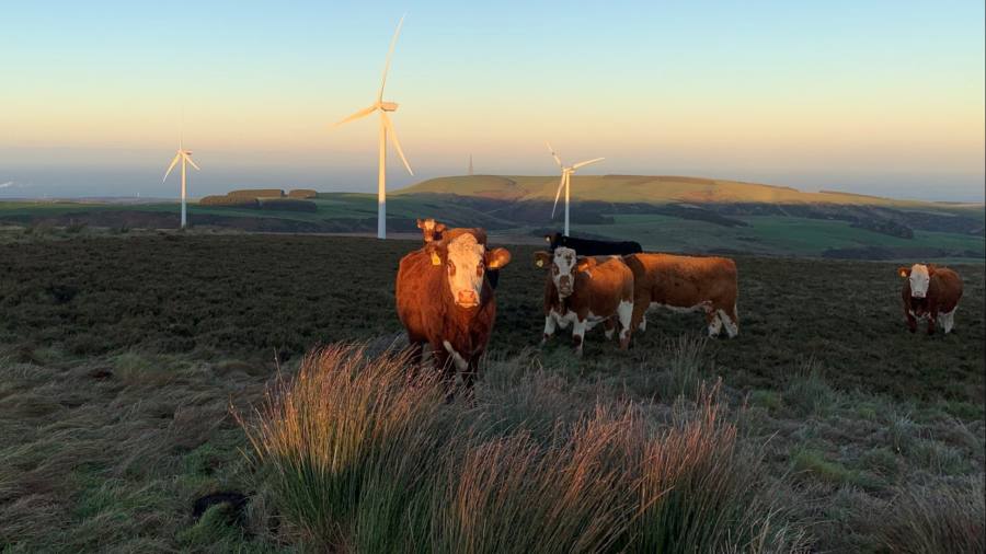 Il Regno Unito deve affrontare un'azione legale per l'imposta sui guadagni inaspettati sulle società energetiche