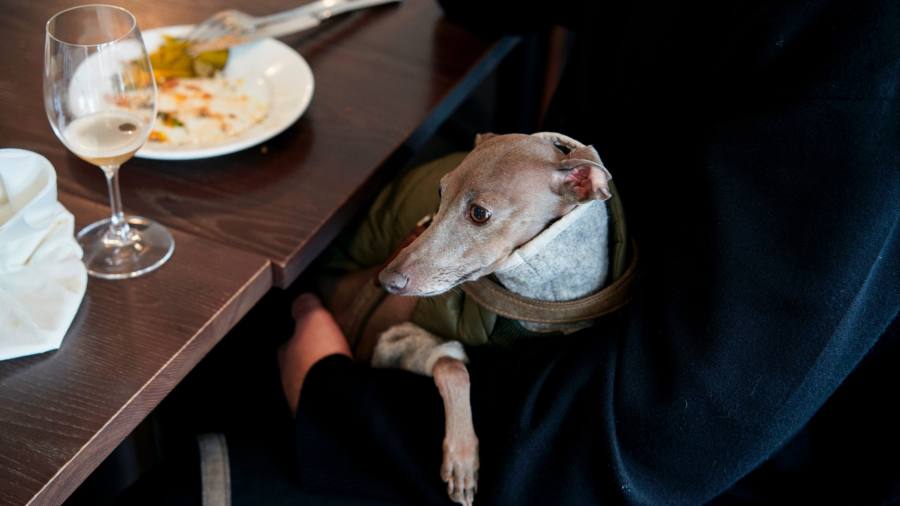 Cosa cercare in un ristorante