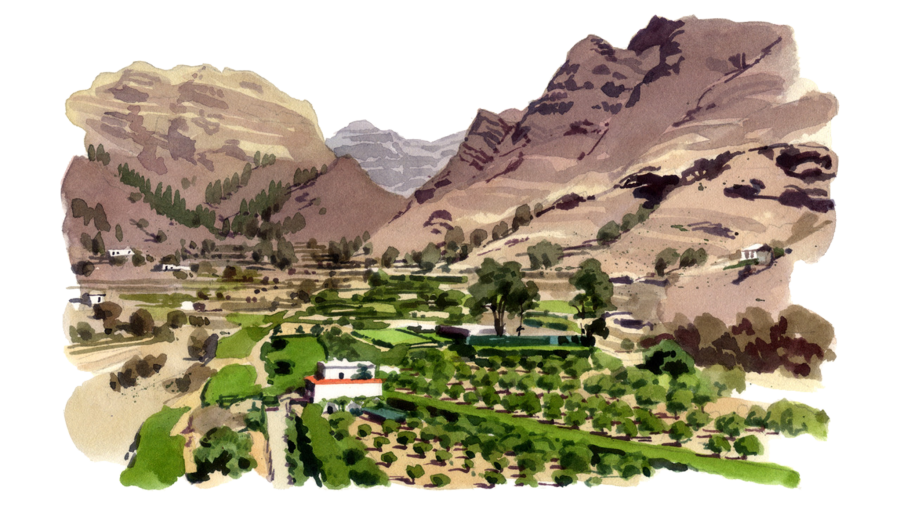 Cartolina da Gran Canaria: "esplosione gastronomica" sull'isola delle vacanze