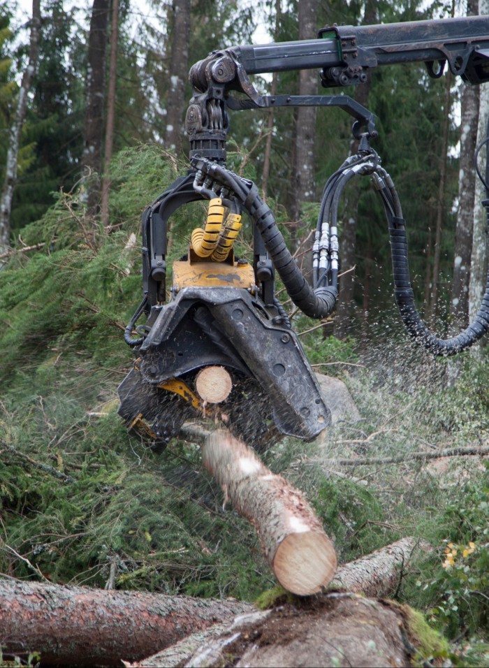 Un'enorme macchina che lavora in un'area boschiva
