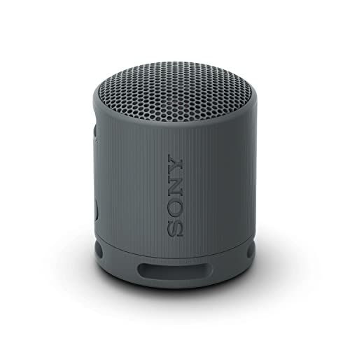 Sony SRS-XB100 Wireless Bluetooth Portatile Leggero Super Compatto...