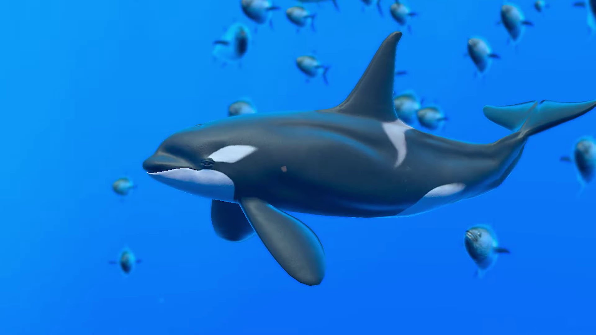 Trailer luminoso di "I suoni del mare" di Endless Ocean