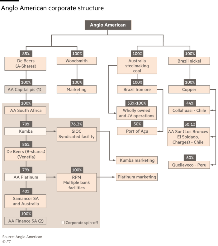 Struttura societaria angloamericana