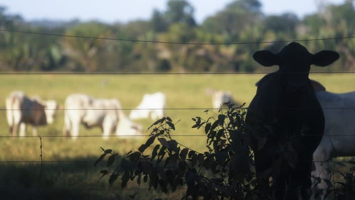 Gli investitori chiedono alle aziende di affrontare i rischi naturali