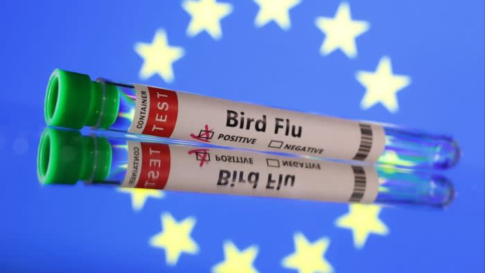 L’UE si assicura 40 milioni di dosi di vaccino contro l’influenza aviaria mentre i casi aumentano