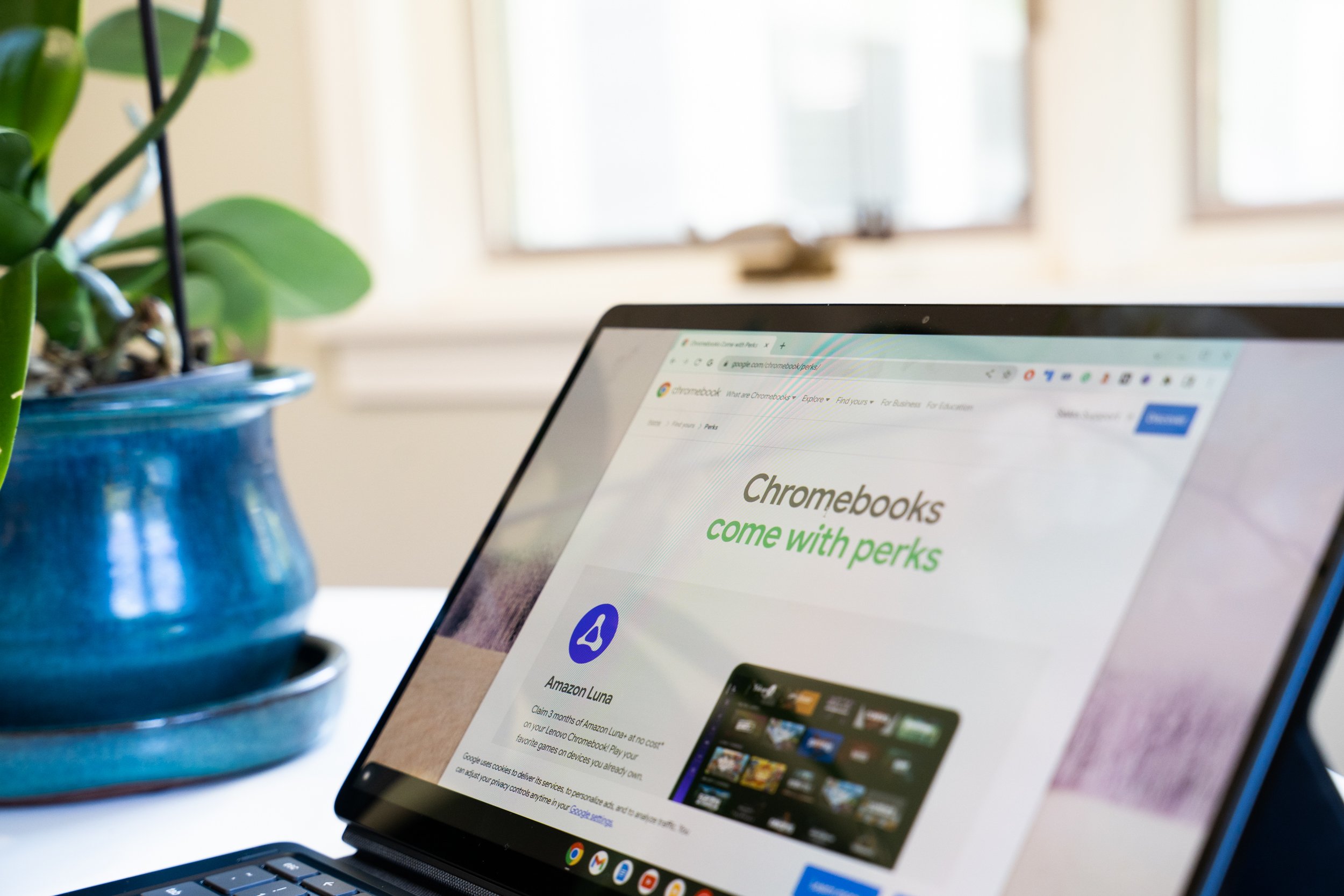 Il Circle to Search di Google arriverà sul desktop