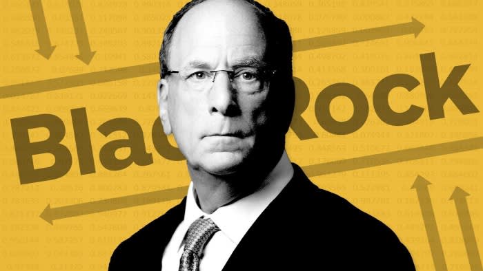 Il dilemma della successione di BlackRock