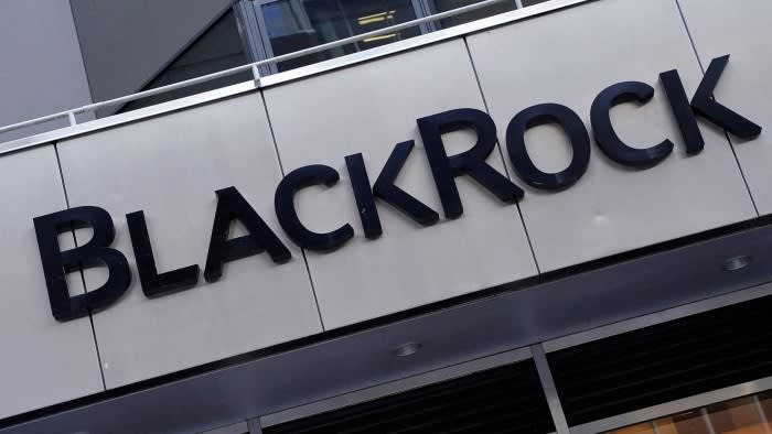 La scommessa costosa di BlackRock sui dati e sui mercati privati ​​è difficile da vendere