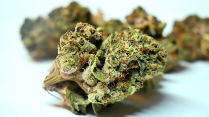 Le aziende europee di cannabis iniziano a pianificare l'IPO mentre gli Stati Uniti considerano regole più flessibili