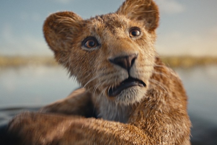 Un'immagine di un cucciolo di leone dal film 