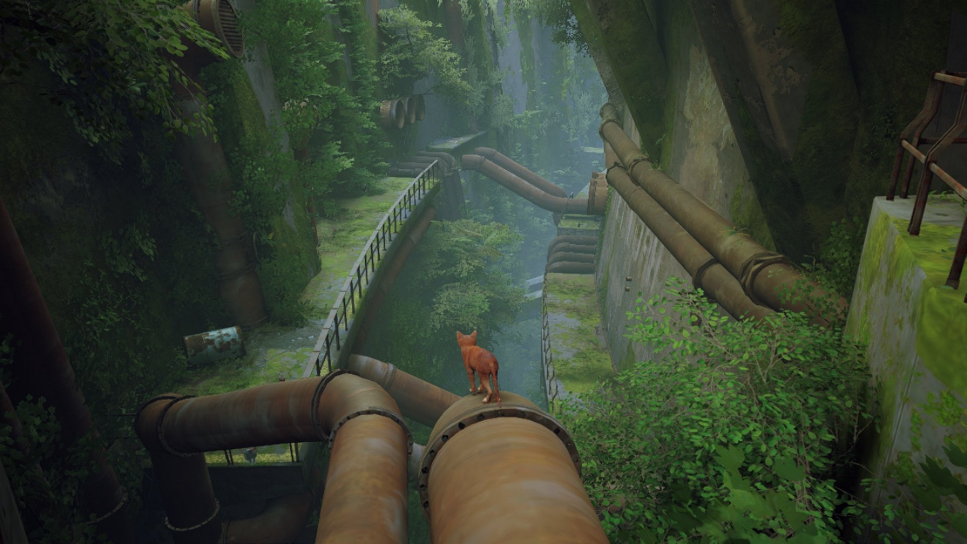 STRAY per Switch verrà lanciato il 19 novembre