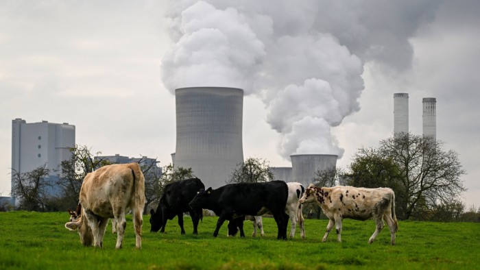 Cows graze in field in front of power station