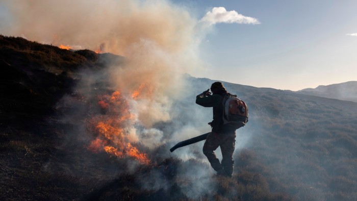 Lo “sport dei re” scozzese è colpito da condizioni meteorologiche estreme e dalla riforma agraria