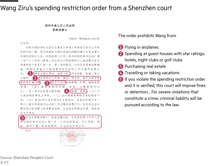 Ordine di restrizione di spesa di Wang Ziru da parte di un tribunale di Shenzhen 