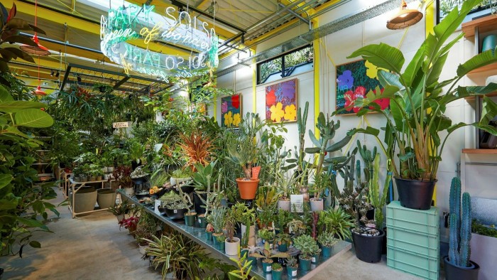 Che cosa è diventato del Great British Garden Center?