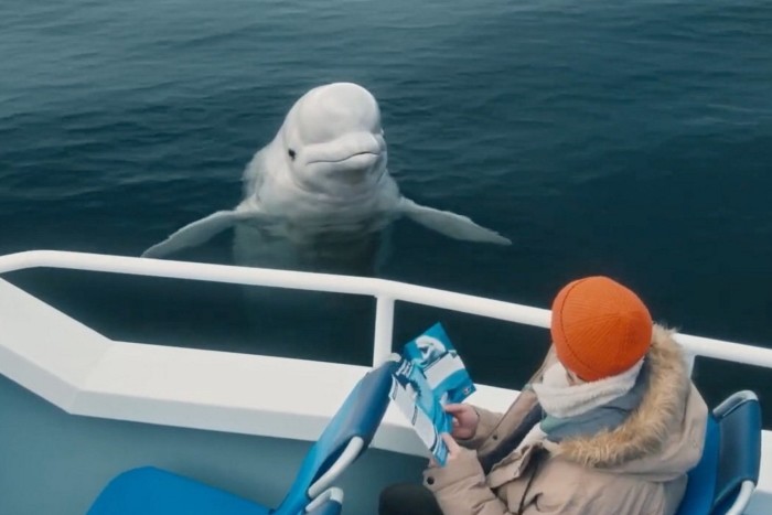 Schermate Grab dal trailer teaser di Nerdwallet per Super Bowl 2025