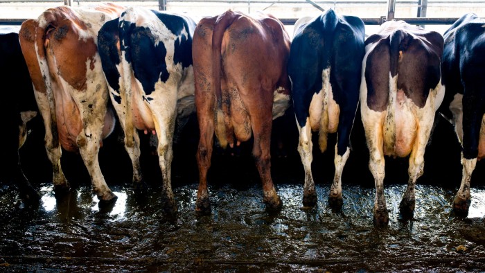 L'Europa cerca di sostituire i fertilizzanti russi importati con letame locale