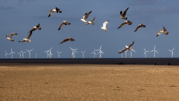 Seagulls take flight from a beach with offshore wind turbines in the background