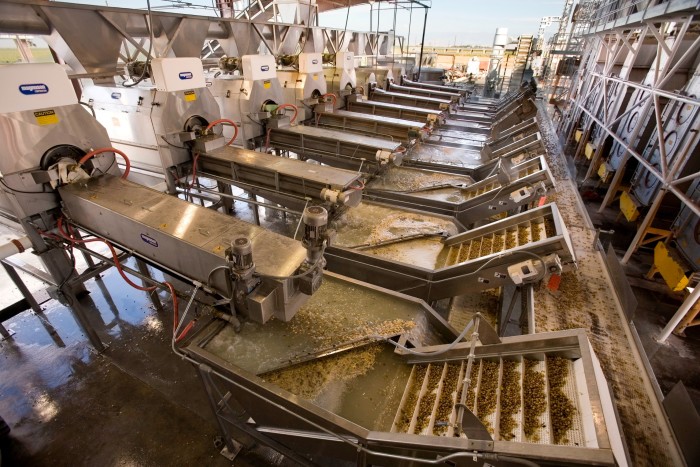 Struttura di elaborazione del pistacchio