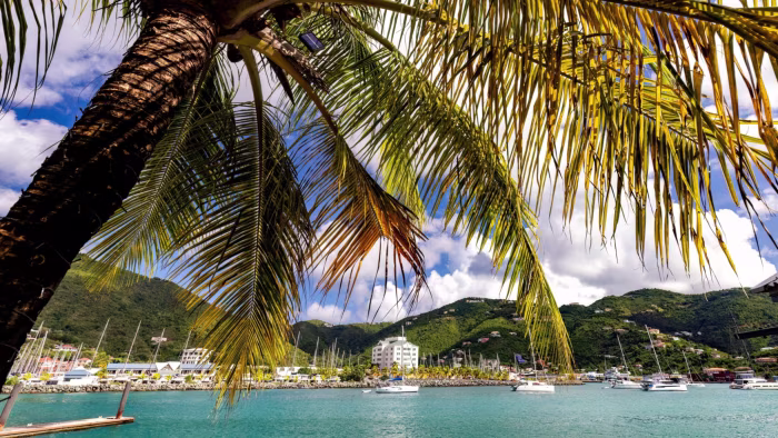 Palm tree leaves frame a view of sailboats on turquoise water with green hills and buildings in the background on the British Virgin Islands