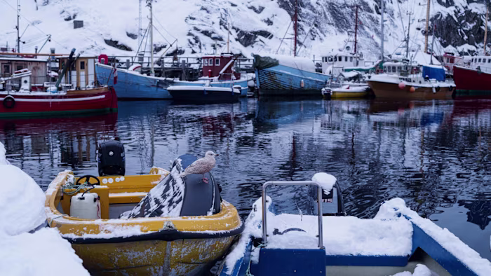 I senatori americani presentano un disegno di legge per impedire ai militari di occupare i territori della NATO