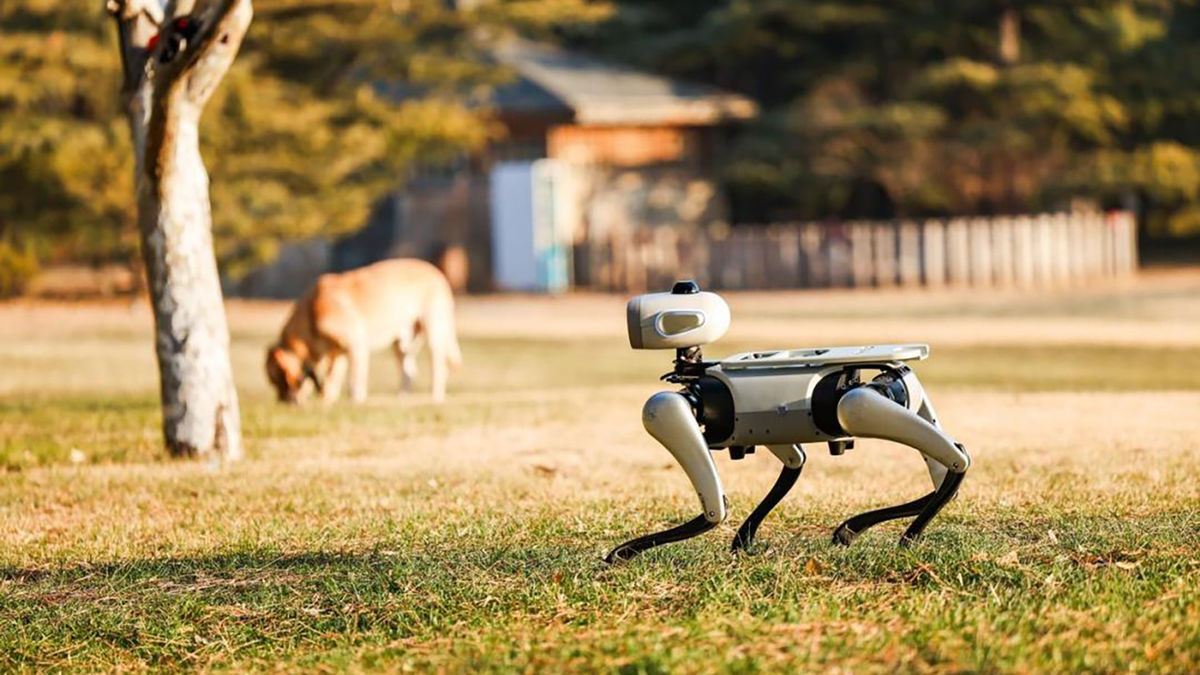 Vbot Companion Robotic Dog: tutta la gioia dell'animale domestico, nessuna pulizia