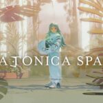PLATONICA SPACE in arrivo su Switch il 27 agosto