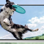 I migliori caricabatterie rapidi per Samsung Galaxy S26 FE