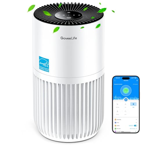 Mini purificatore d'aria intelligente Goveelife
