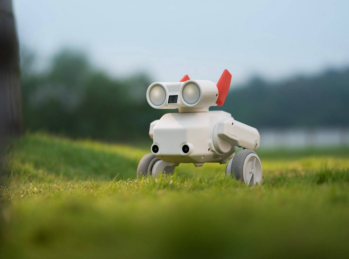 Incontra Beni, il robot con telecamera che salta i marciapiedi e sale le scale